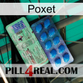 Poxet new02